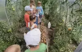 Podsumowanie wakacyjnych dyżur&oacute;w w przedszkolu w Chybicach 26