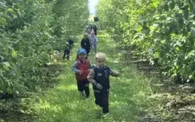 Przedszkolaki z Chybic żegnają lato, witają jesień 8