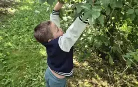 Przedszkolaki z Chybic żegnają lato, witają jesień 9