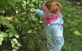 Przedszkolaki z Chybic żegnają lato, witają jesień 15