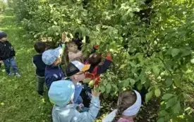 Przedszkolaki z Chybic żegnają lato, witają jesień 29