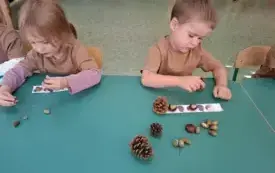 553301572_1443032983645019_5542230577756304466_n