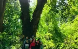 Przedszkolaki z grupy ,,0&rdquo;c w chybickim parku 2