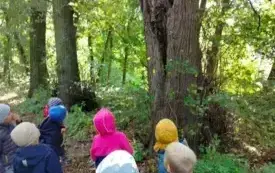 Przedszkolaki z grupy ,,0&rdquo;c w chybickim parku 16