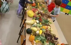 IMG20250923094717