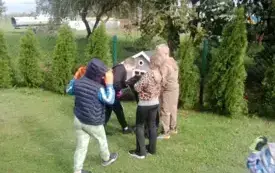 Galeria aktualności Sprzątanie świata 29