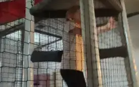 Wycieczka do &bdquo;Kombinatu Formy&rdquo; 29
