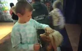 Wycieczka do Pacanowa 9