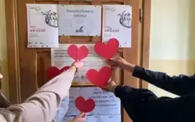 Serce Dąbrowa 25 8