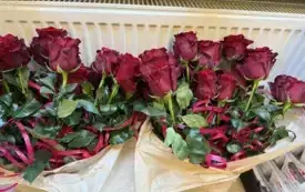 Galeria aktualności &bdquo;Za naukę, kt&oacute;ra uczy myśleć,  i wychowanie, kt&oacute;re uczy być.&rdquo;  7