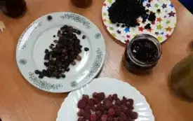 Lato zamknięte w słoiku 5