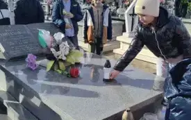 1000009176