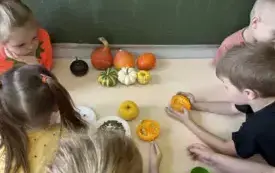 Dzień Dyni w naszej zer&oacute;wce! 15