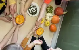 Dzień Dyni w naszej zer&oacute;wce! 16