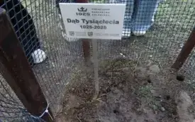Na tysiąclecie państwa polskiego... 3