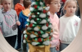 IMG_20251127_085045