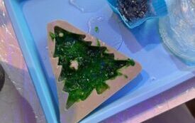 IMG-20251212-WA0006