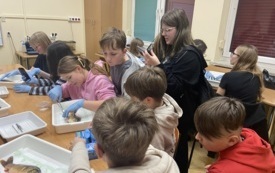 Galeria aktualności Udział uczni&oacute;w Publicznej Szkoły Podstawowej w Szerzawach w Nocy Biolog&oacute;w na UJK w Kielcach 13