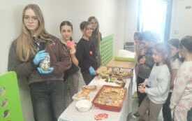 IMG-20260127-WA0006