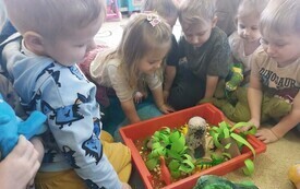 Dzień Dinozaura w przedszkolu w Chybicach 24