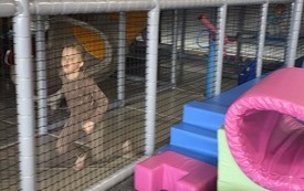 Galeria aktualności Wycieczka do Bajkolandii 30
