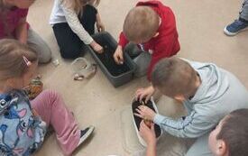 20260324_082300_page-0012