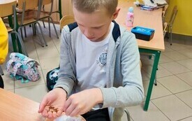 Wiosna w świetlicy szkolnej 6