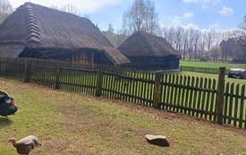 Galeria aktualności Wycieczka do Muzeum Wsi Radomskiej 28