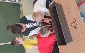 Galeria aktualności Dzień Ziemi w klasach 1-3 16