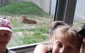 Wycieczka do Kopalni Soli w Wieliczce oraz Ogrodu Zoologicznego uczni&oacute;w klas I - III PSP w Godowie 15