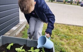 Szkolny ogr&oacute;dek Świetliczak&oacute;w - PSP Łomno 2