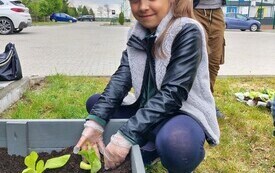 Szkolny ogr&oacute;dek Świetliczak&oacute;w - PSP Łomno 11