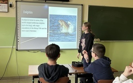 IMG_5586.jpeg