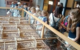 Galeria aktualności " Warszawa na słodko - czyli niezwykła wycieczka" 3