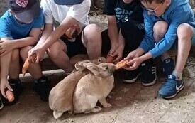 Nauka i zabawa w Zagrodzie Edukacyjnej "Pytl&oacute;wka" 5