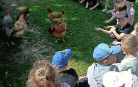 Nauka i zabawa w Zagrodzie Edukacyjnej "Pytl&oacute;wka" 10