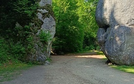 Jura Dąbrowa 26 7