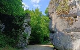 Jura Dąbrowa 26 8
