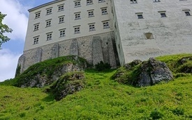 Jura Dąbrowa 26 9