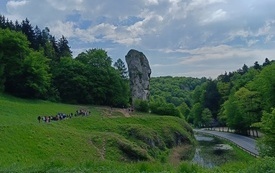 Jura Dąbrowa 26 10