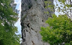 Jura Dąbrowa 26 11