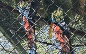 Galeria aktualności Wyjazd do zoo &bdquo;Leśne Zacisze&rdquo; w Lisowie. 18