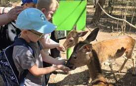 Galeria aktualności Wyjazd do zoo &bdquo;Leśne Zacisze&rdquo; w Lisowie. 62