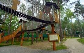 20260601_093001 (1)_convert_jpg_9