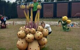 20260601_090226_convert_jpg_8