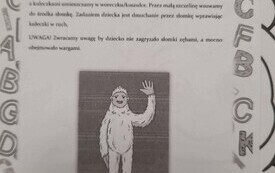Alfabet Logopedyczny - wsp&oacute;lna przygoda z mową i komunikacją 42