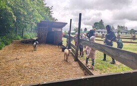 Śmiech, natura i wielka przygoda. Dzieci ze SP w Chybicach z wizytą w &bdquo; Rogatym Ranczu&rdquo; 5