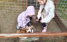 Śmiech, natura i wielka przygoda. Dzieci ze SP w Chybicach z wizytą w &bdquo; Rogatym Ranczu&rdquo; 12