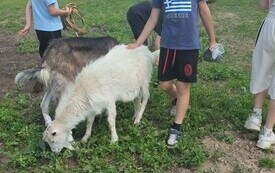 Wyieczka klasy III do Zagrody Edukacyjnej "Stajnia Pełna Zwierząt" 24