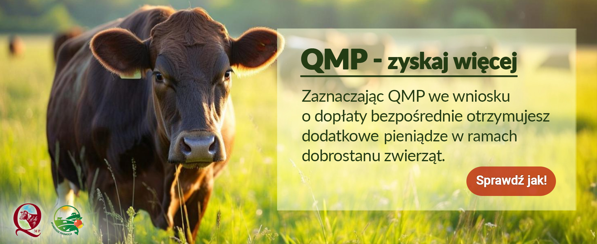 QPM banner